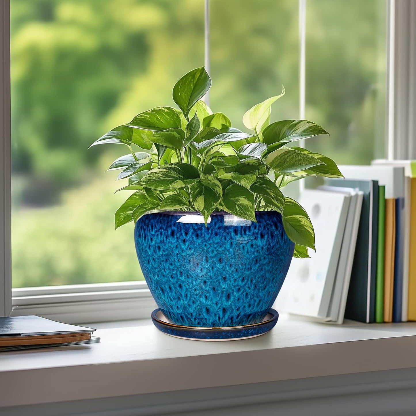 Skiennix Ceramic Succulent Planter Pot - 6 Inch Round with Drainage Hole & Saucer for Indoor/Outdoor Use