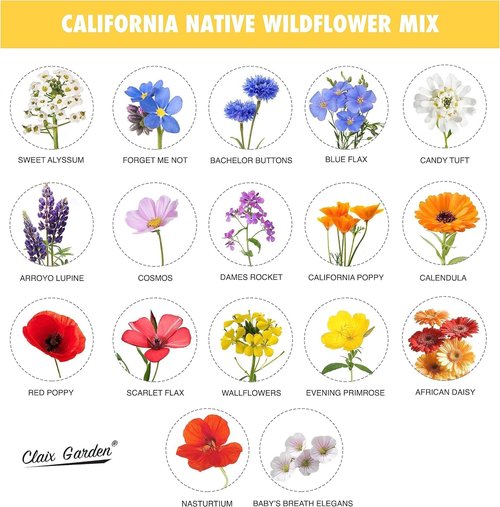 California Wildflower Mix - 7,500 Seeds | 17 Varieties of Non-GMO, Open Pollinated Flowers for Bees & Butterflies