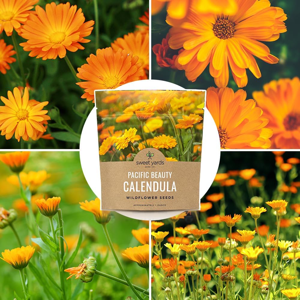 Pacific Beauty Mix Calendula Seeds - Extra Large Packet of 3,000+ Non-GMO Wildflower Seeds