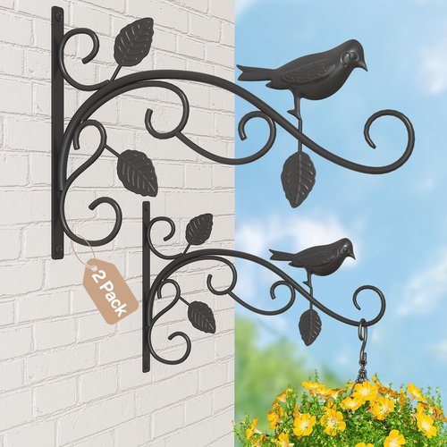 iDavosic.ly Heavy Duty Plant Hangers - 12 Inch Iron Wall Brackets for Outdoor & Indoor Use | Black 2-Pack