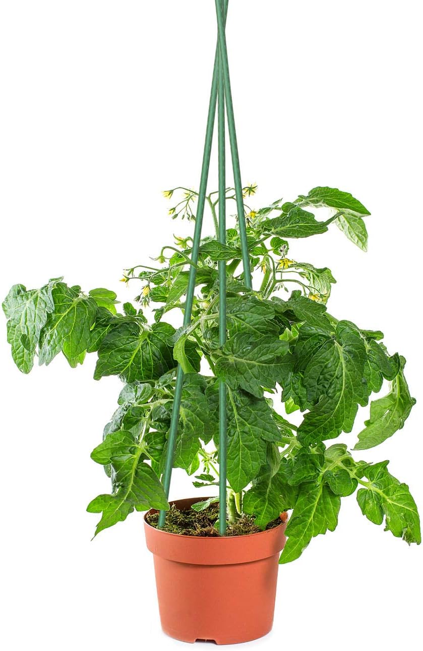 Sunnyglade 25PCS 48” Plant Stakes - Durable Supports for Garden Tomatoes & Potted Plants