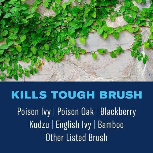 BioAdvanced Brush Killer Spray - Effective Bamboo & Poison Ivy Control - Ready-to-Use 1 Gallon