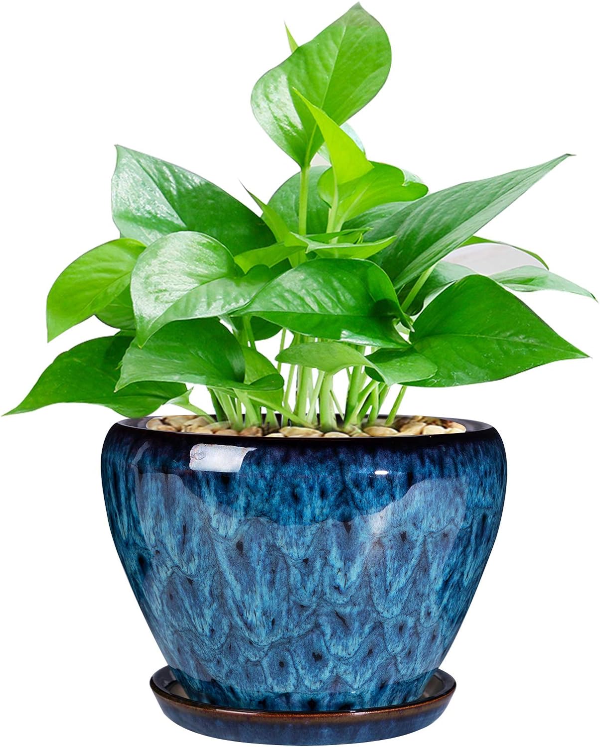 Skiennix Ceramic Succulent Planter Pot - 6 Inch Round with Drainage Hole & Saucer for Indoor/Outdoor Use