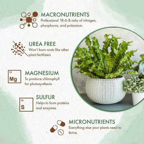 Indoor Plant Food by [Brand Name] - All-Purpose Liquid Fertilizer for Houseplants & Outdoor Pots (5 oz)