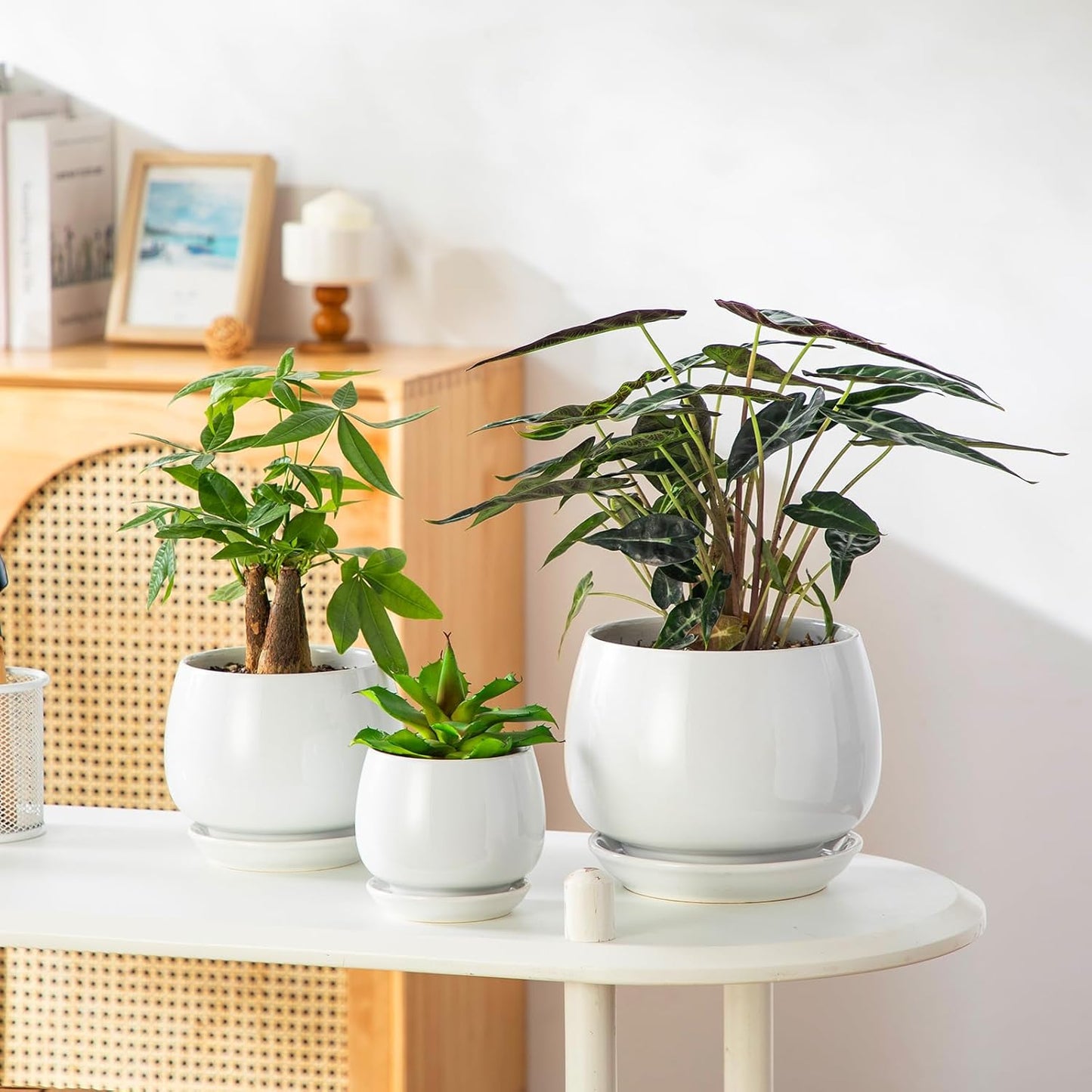 Vancasso Ceramic Plant Pots - 3-Pack Indoor Planters with Saucers & Drainage Holes | White, 3.7-6.2 Inch