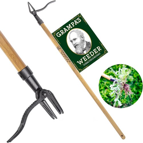 Grampa's Weeder - Original Stand-Up Weed Puller Tool with Bamboo Handle & 4-Claw Steel Head - Effortlessly Remove Weeds Without Bending