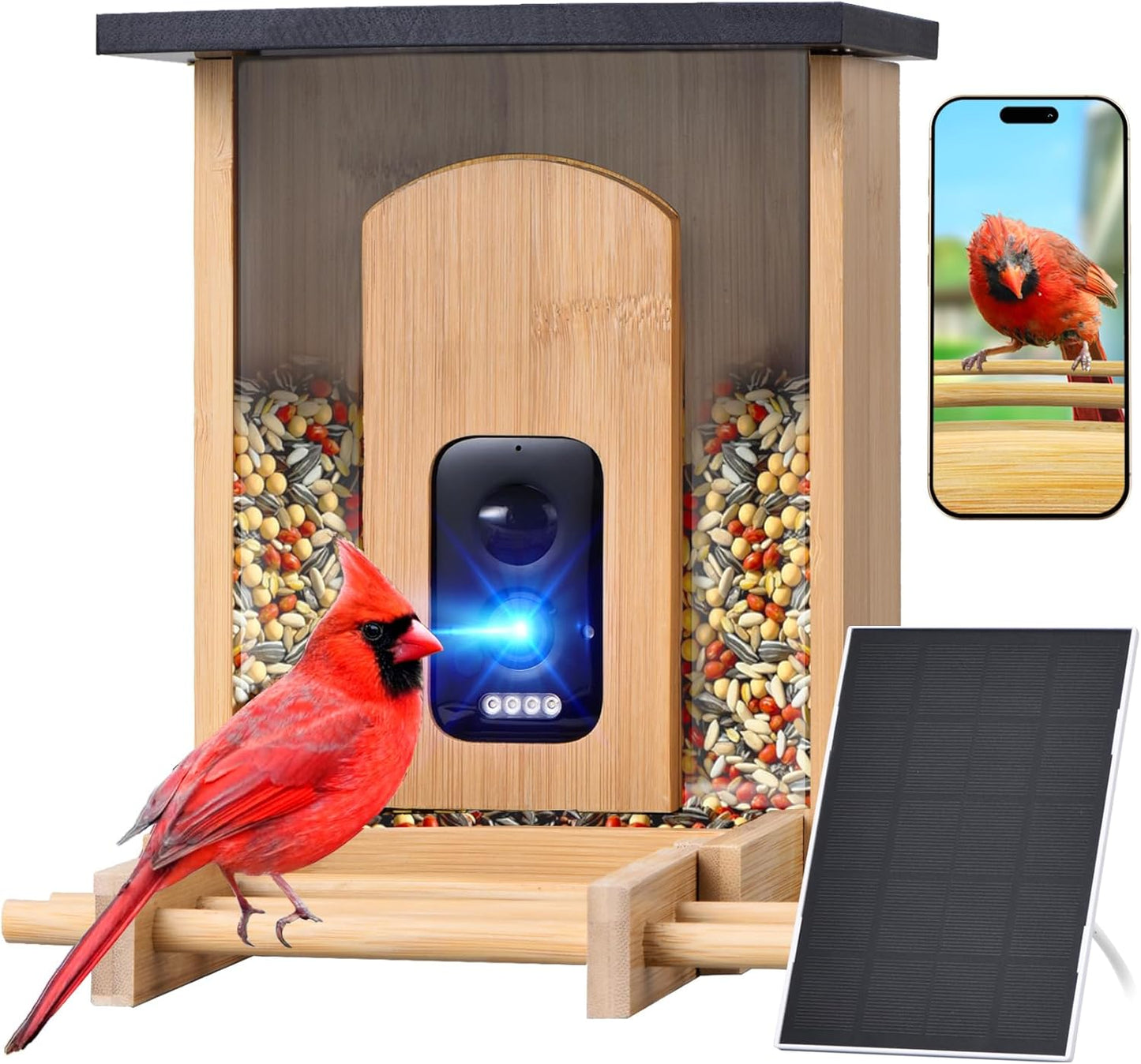 Skiennix Smart Bird Feeder - 2K HD Camera with AI Bird Identification & Solar Power | Bamboo Design