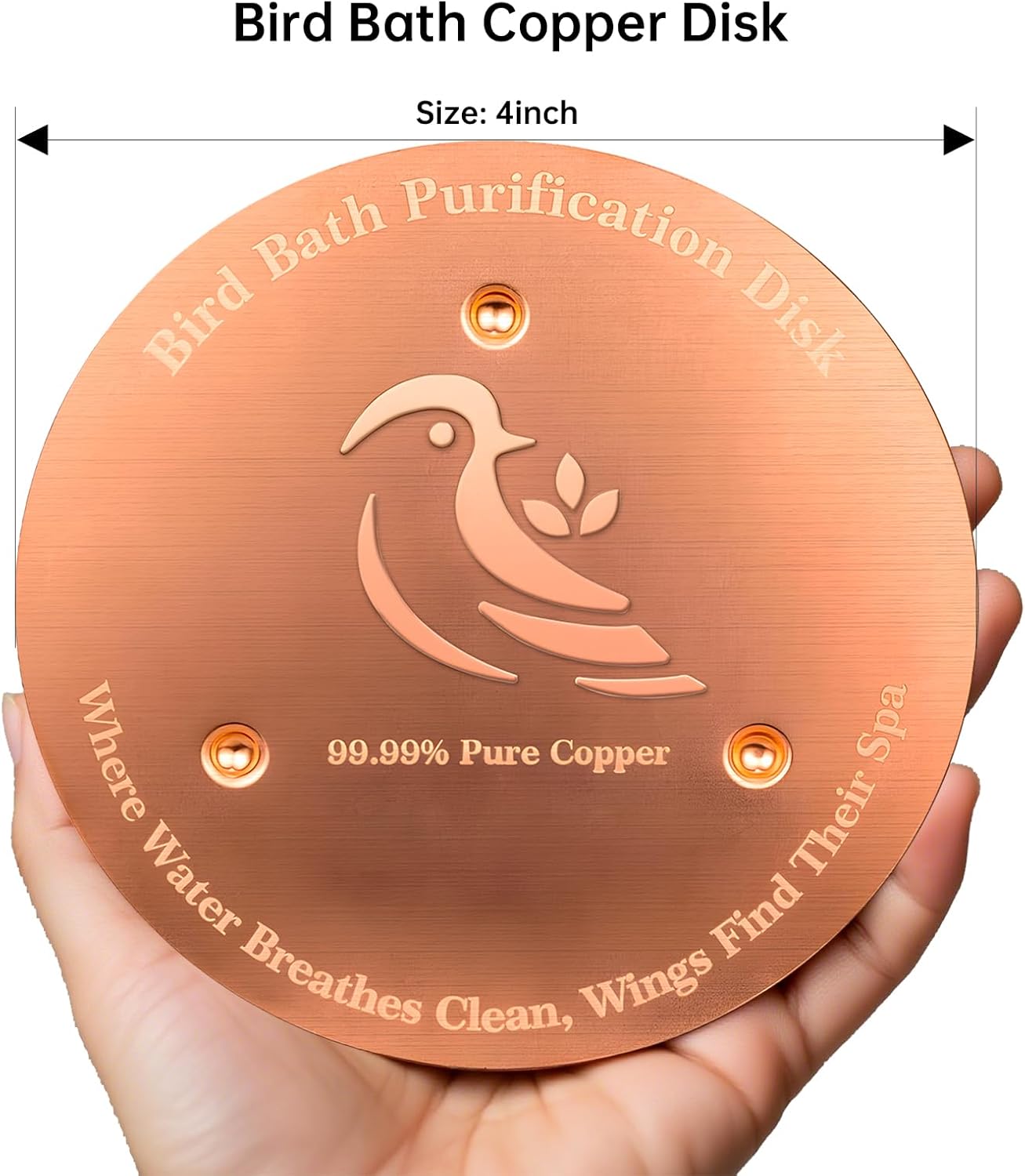 Skiennix Bird Bath Copper Disk - Premium 0.6mm Sturdy 99.99% Pure Copper for Year-Round Clean Water