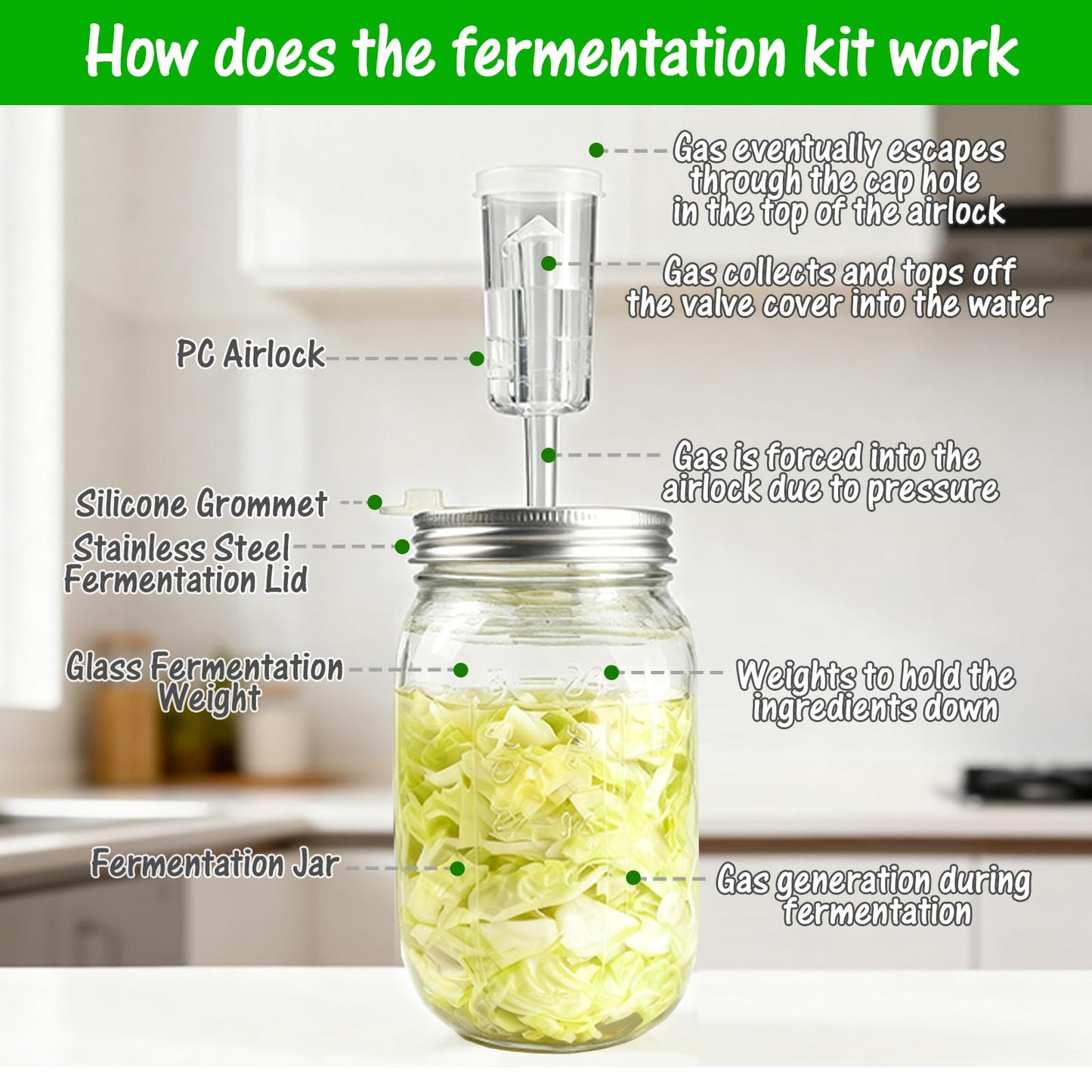 32 oz Mason Jar Fermentation Kit, 2 Pack Fermentation Jars, Fermentation Lids, Fermenting Weights and Airlocks, Complete Fermenting Kit for Making and Storing Sauerkraut（Pack of 2）