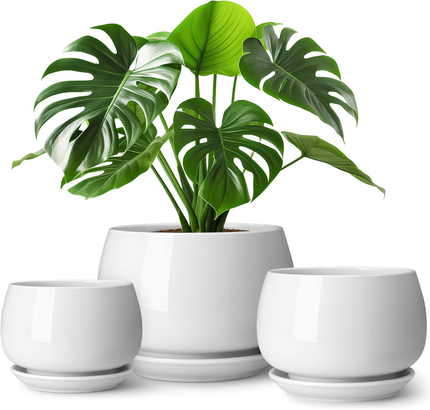 Vancasso Ceramic Plant Pots - 3-Pack Indoor Planters with Saucers & Drainage Holes | White, 3.7-6.2 Inch