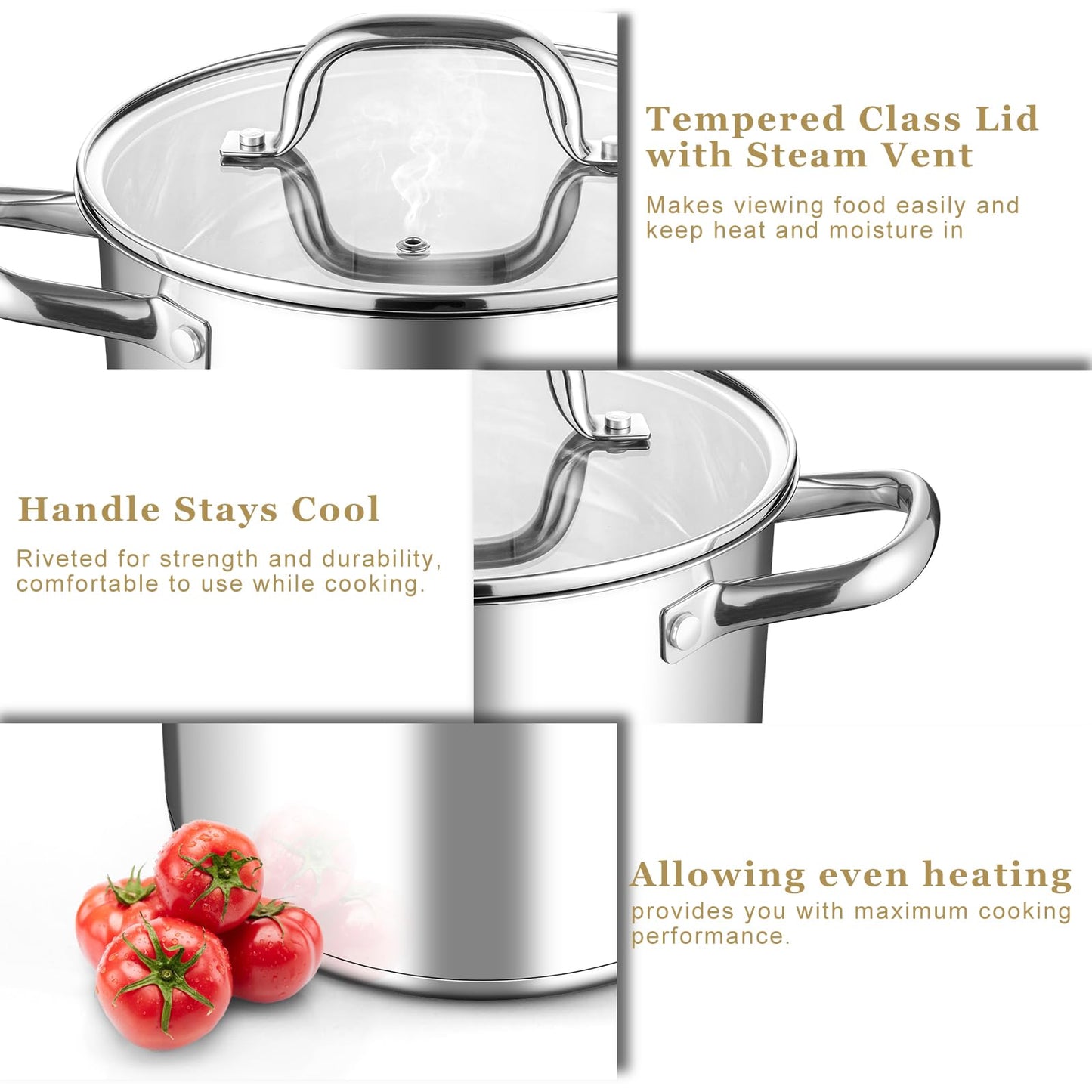 Leonyo Stainless Steel Stock Pot, 8 Quart Stock Pot with Visible Lid, Heavy Duty 3-Ply Induction Cooking Pot for Pasta, Soup, Spaghetti, 18/10 Stainless Steel StockPot for Canning, Boiling, Simmering