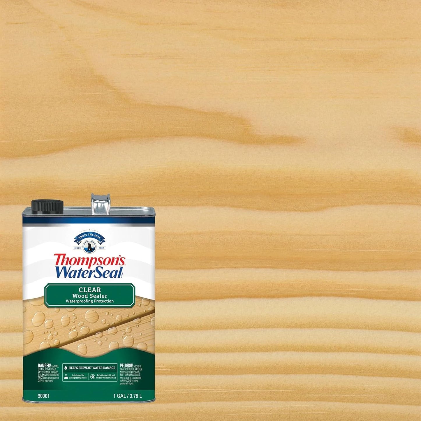 Thompson's WaterSeal Clear Wood Sealer - Premium Protection for Wood Surfaces | 1 Gallon