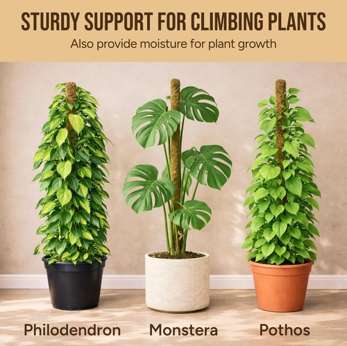 Craft911 Moss Pole Monstera Plant Support - 2 Pack 28” Bendable Stakes for Indoor Climbing Plants