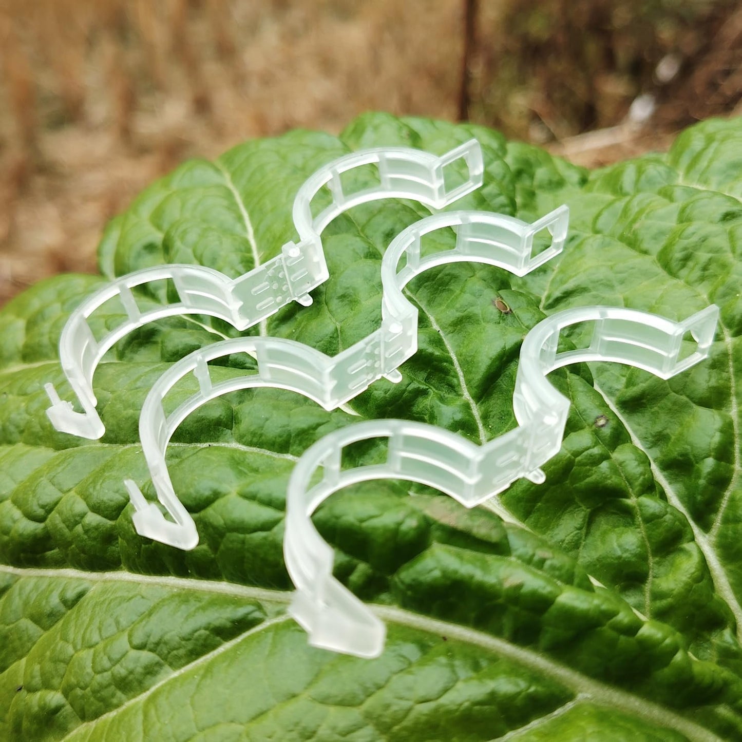 Plant Support Clips by [Brand Name] - 100PK White Tomato Clips for Trellis & Climbing Plants