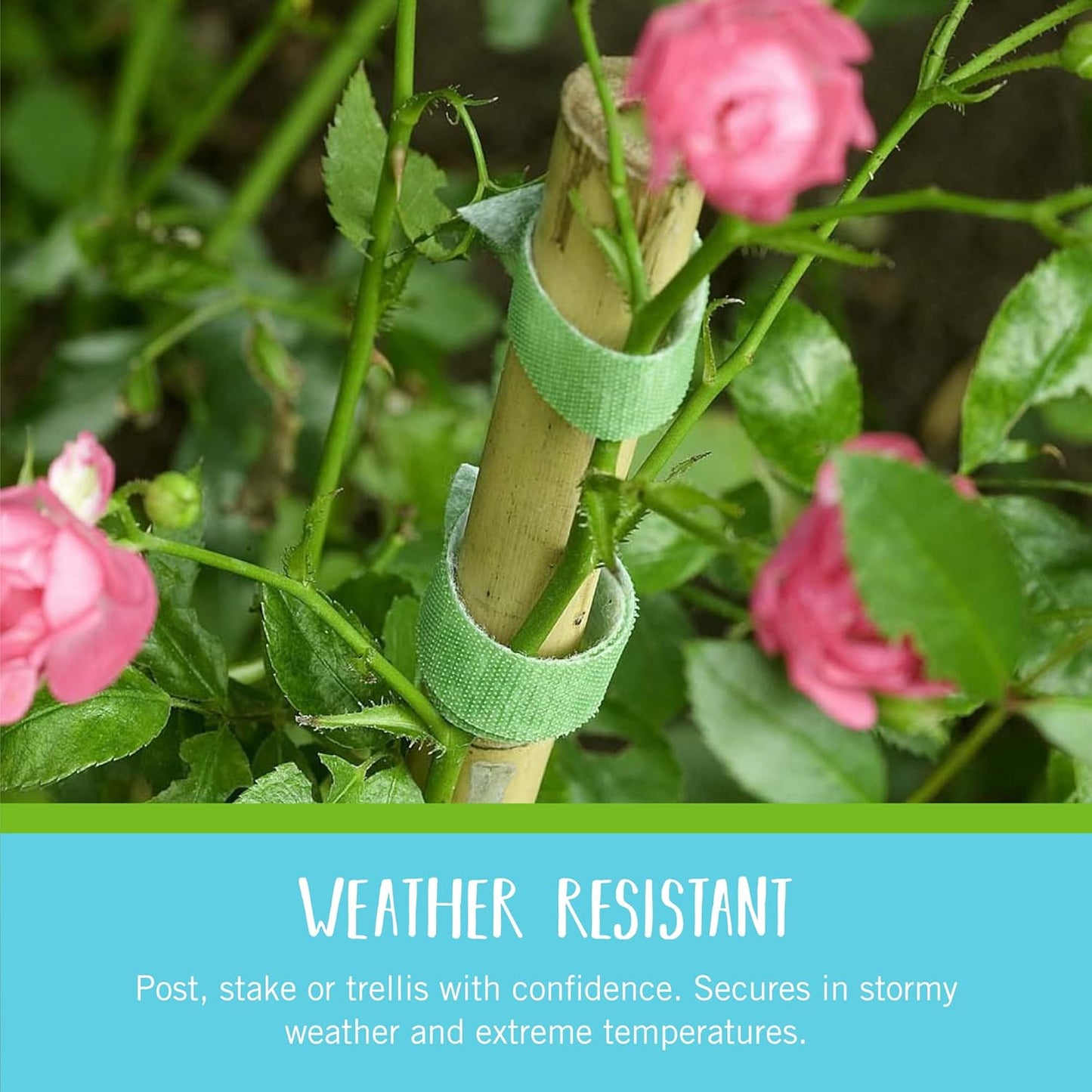 Velcro Brand Garden Plant Ties - 45 Pre-Cut One-Wrap Ties for Tomatoes & Flowers | 8" x 1/2", Green Recycled Plastic