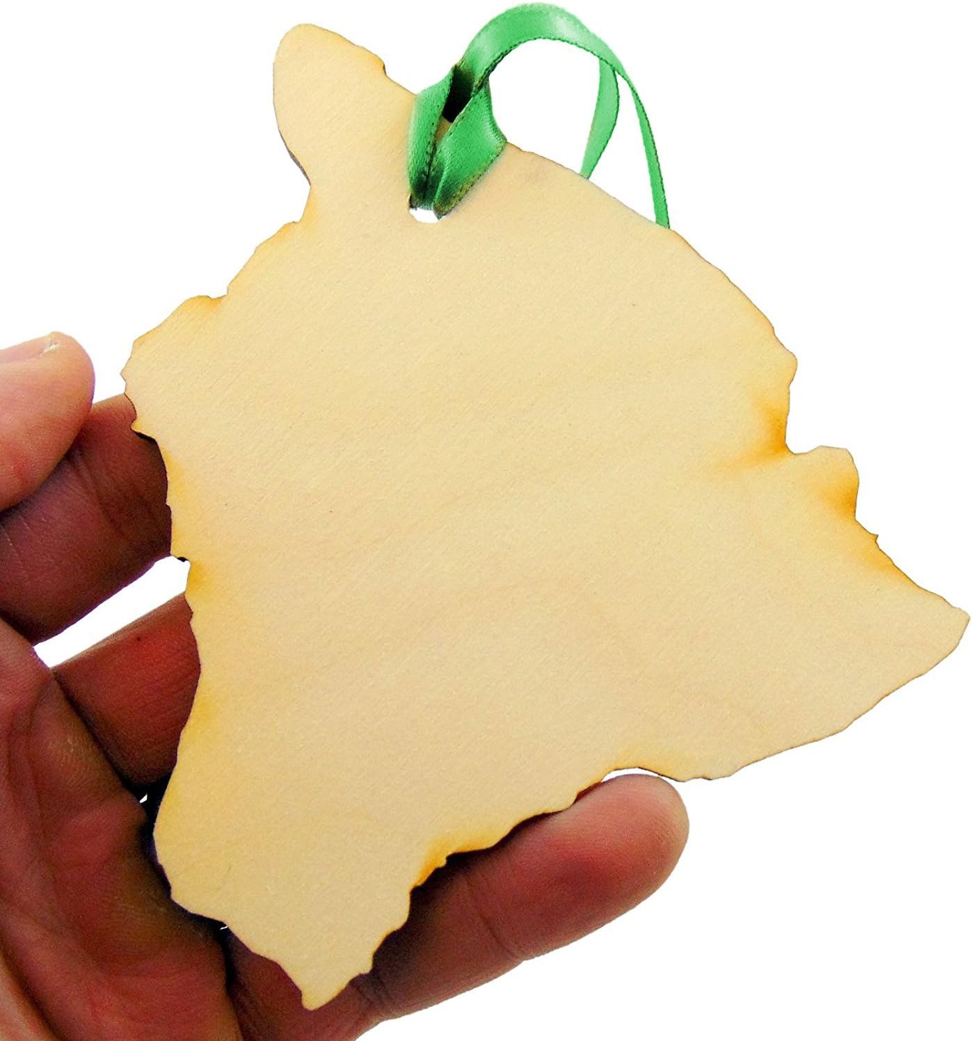 Handmade Wooden Christmas Ornament - State of Georgia - Westman Works USA