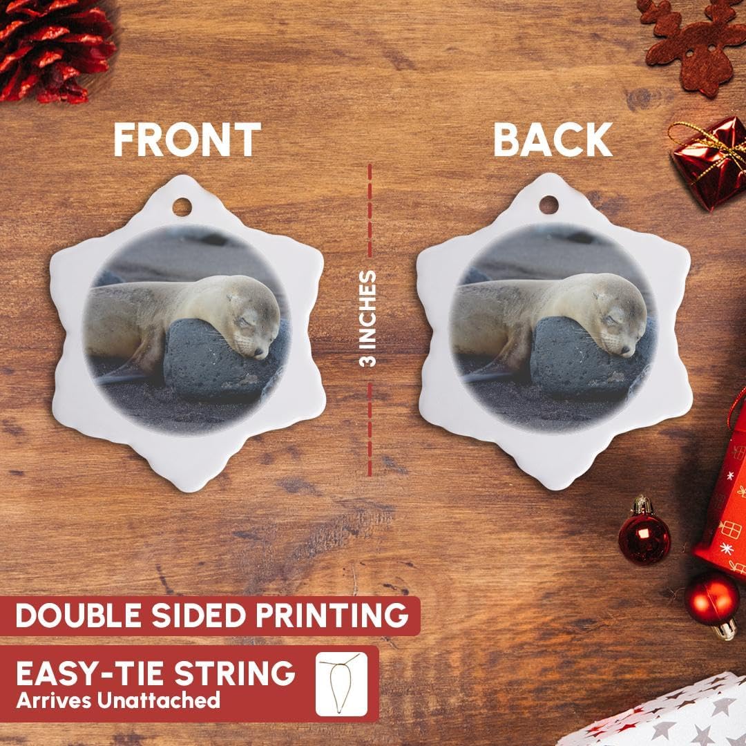 Galapagos Sea Lion Snowflake Ornament - 3DRose Ecuador Santiago Island Decor