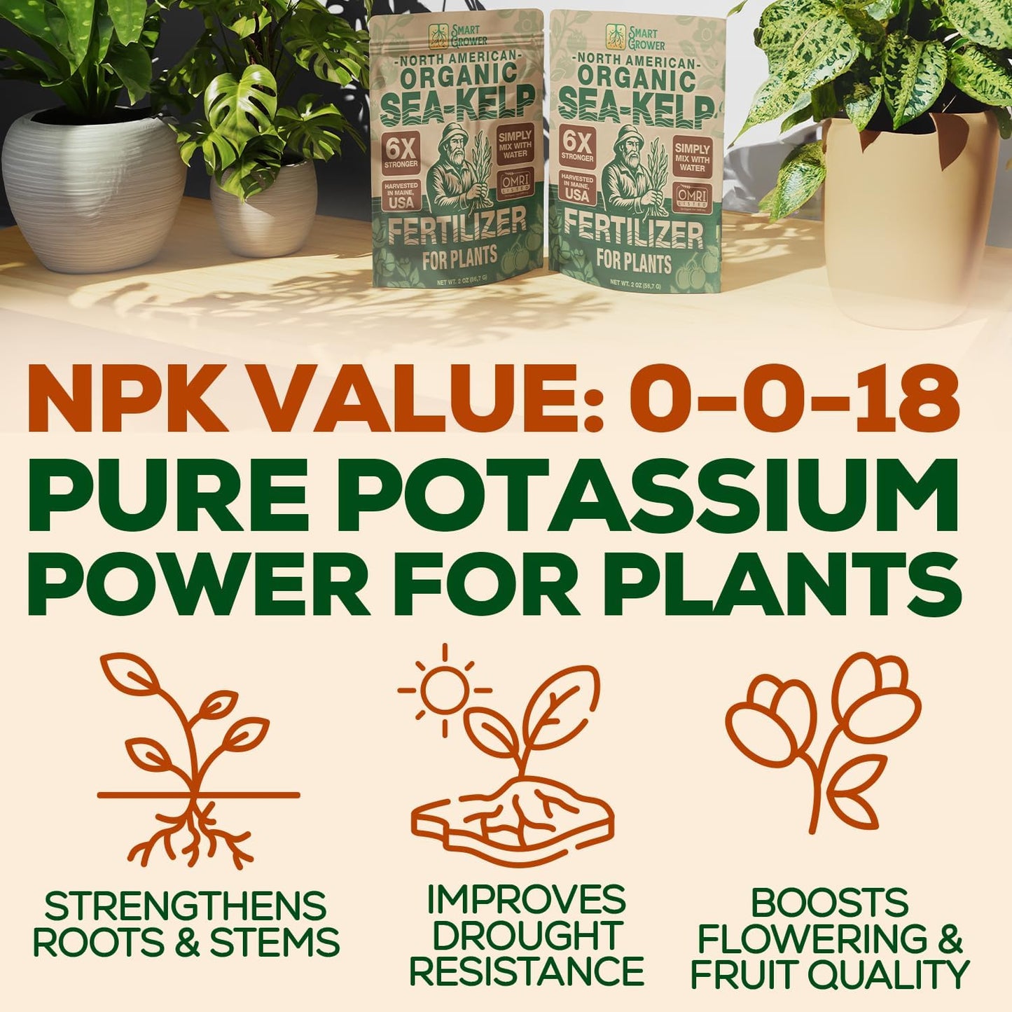 Smart Grower Organic Sea Kelp Fertilizer - Water-Soluble Plant Food for Indoor Gardens | 2oz Bag Makes 50 Gallons
