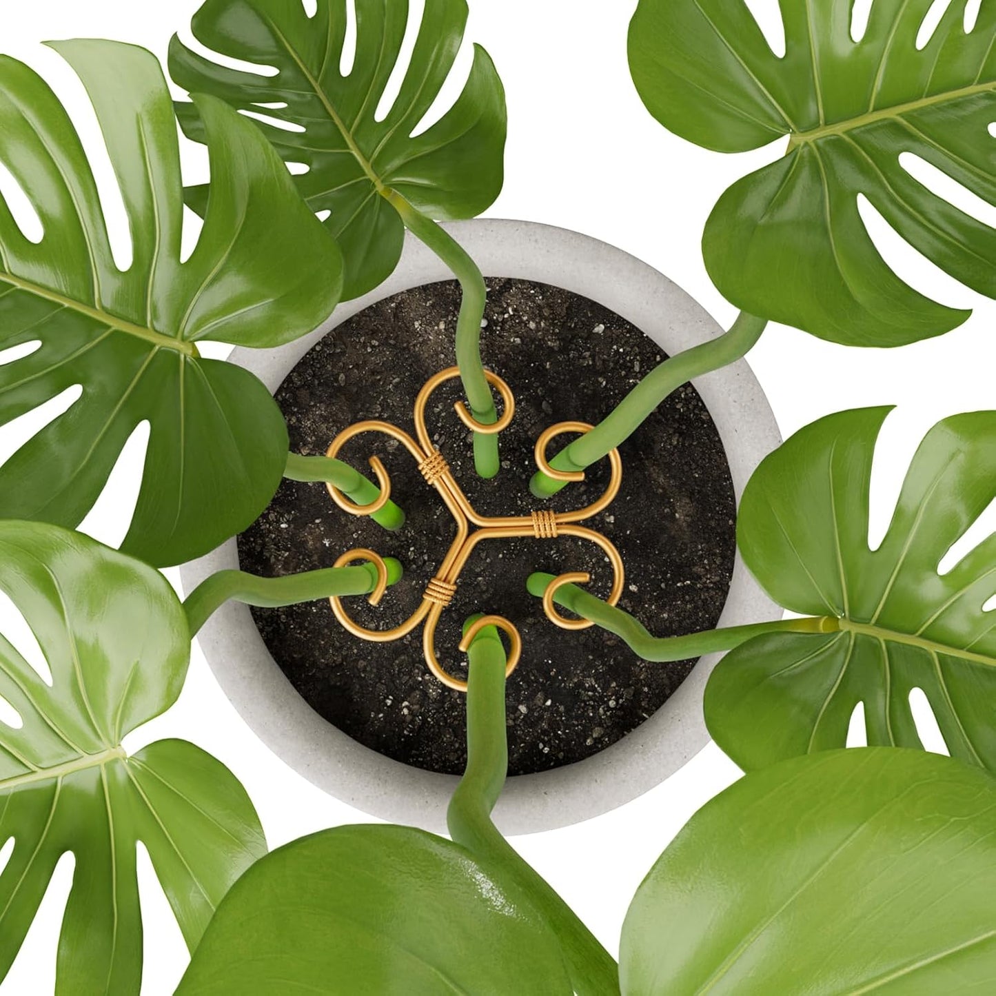 Monstera Plant Support Stakes - 4PCS Iron Design for Indoor Plants | Stable Growth & Turtle Shell Clamp