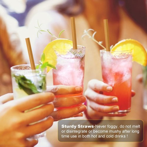 5 Inch Short Biodegradable Cocktail Straws 200 pcs Compostable Cocktail Stirrers Straws Made from 100% Sugarcane Fiber A Plasticless Sturdy Drinking Straws for Hot and Cold Drinks Not Foggy