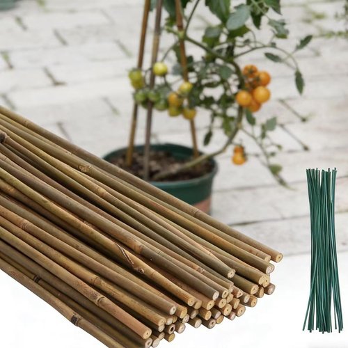 Bamboo Garden Stakes by [Brand Name] - 50 Pcs 4.0 FT Natural Plant Support for Tomatoes, Beans & Flowers