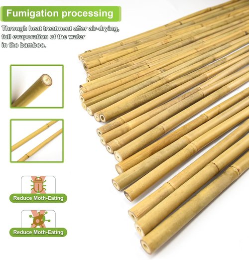 Jollybower 20 Pcs 6FT Heavy-Duty Bamboo Plant Stakes - Natural Support for Tomatoes, Beans & Flowers
