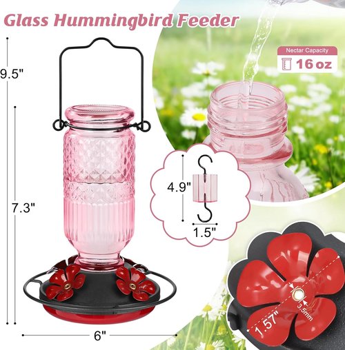 Feed Garden Glass Hummingbird Feeder - 16oz Capacity, Ant Moat & Bee-Proof Ports, Easy to Clean, Pink