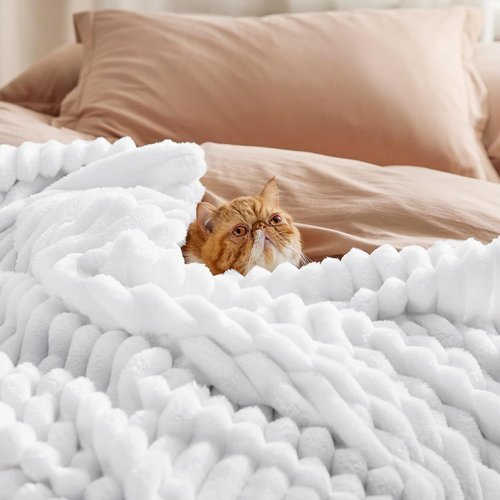 Bedsure GentleSoft Twin Fleece Blanket - Cozy Soft Throw for Couch, Bright White, 60x80 Inches