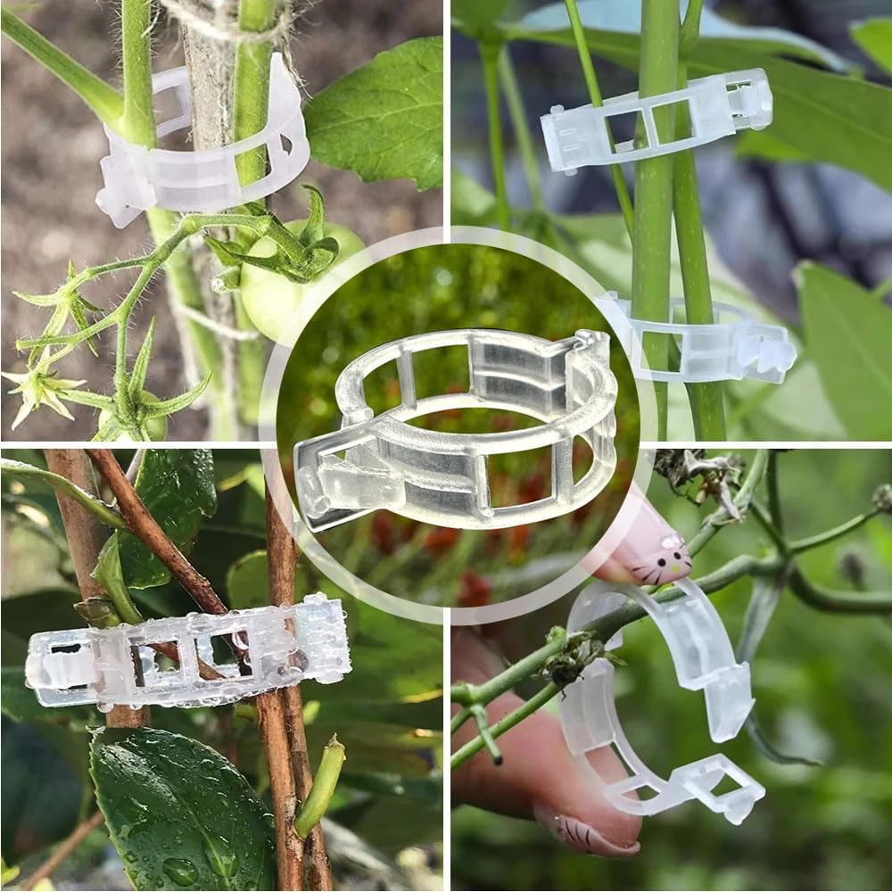 Skiennix Plant Clips - 100Pcs Upgraded Plastic Support for Climbing Plants | Green Tomato & Grape Vine Clips