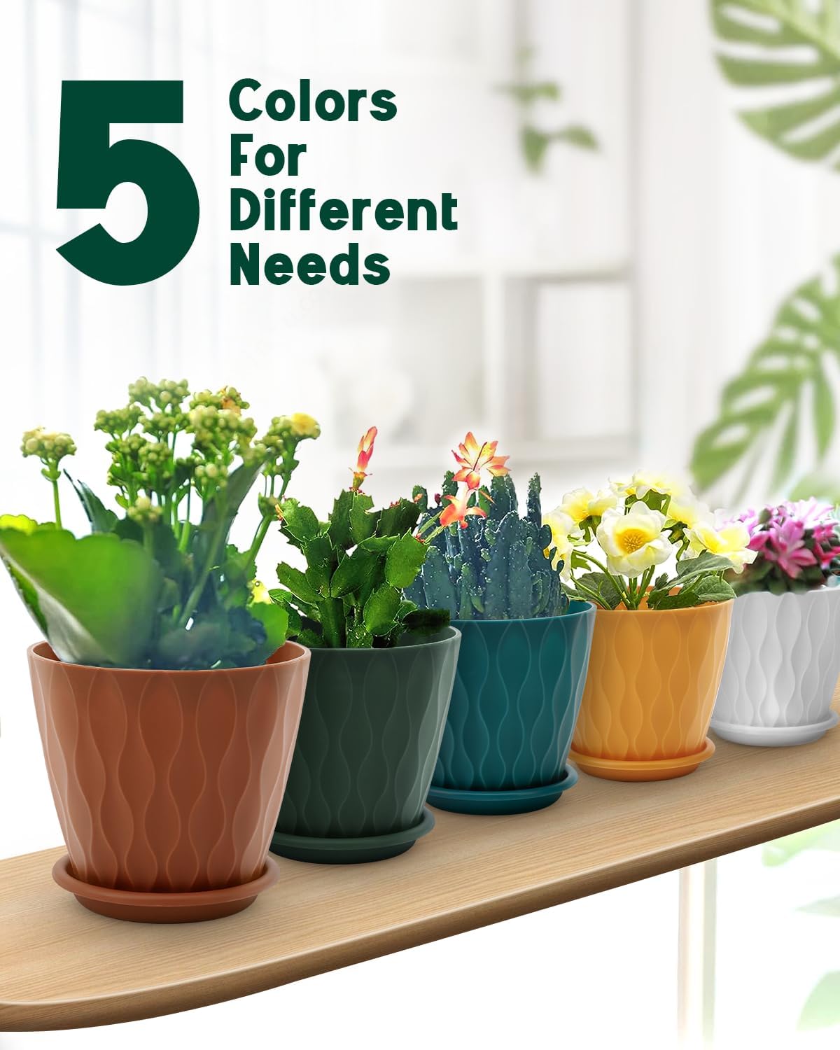 Skiennix 6-Inch Indoor Planter Pots - Drainage Hole & Tray Saucer | Multicolor, Set of 5 for Garden Plants