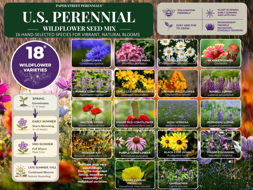 United States Nationwide Bulk Wildflower Seed Mix - Ideal for All U.S. Zones | Covers 2,000 Sq Ft (1 Pound)