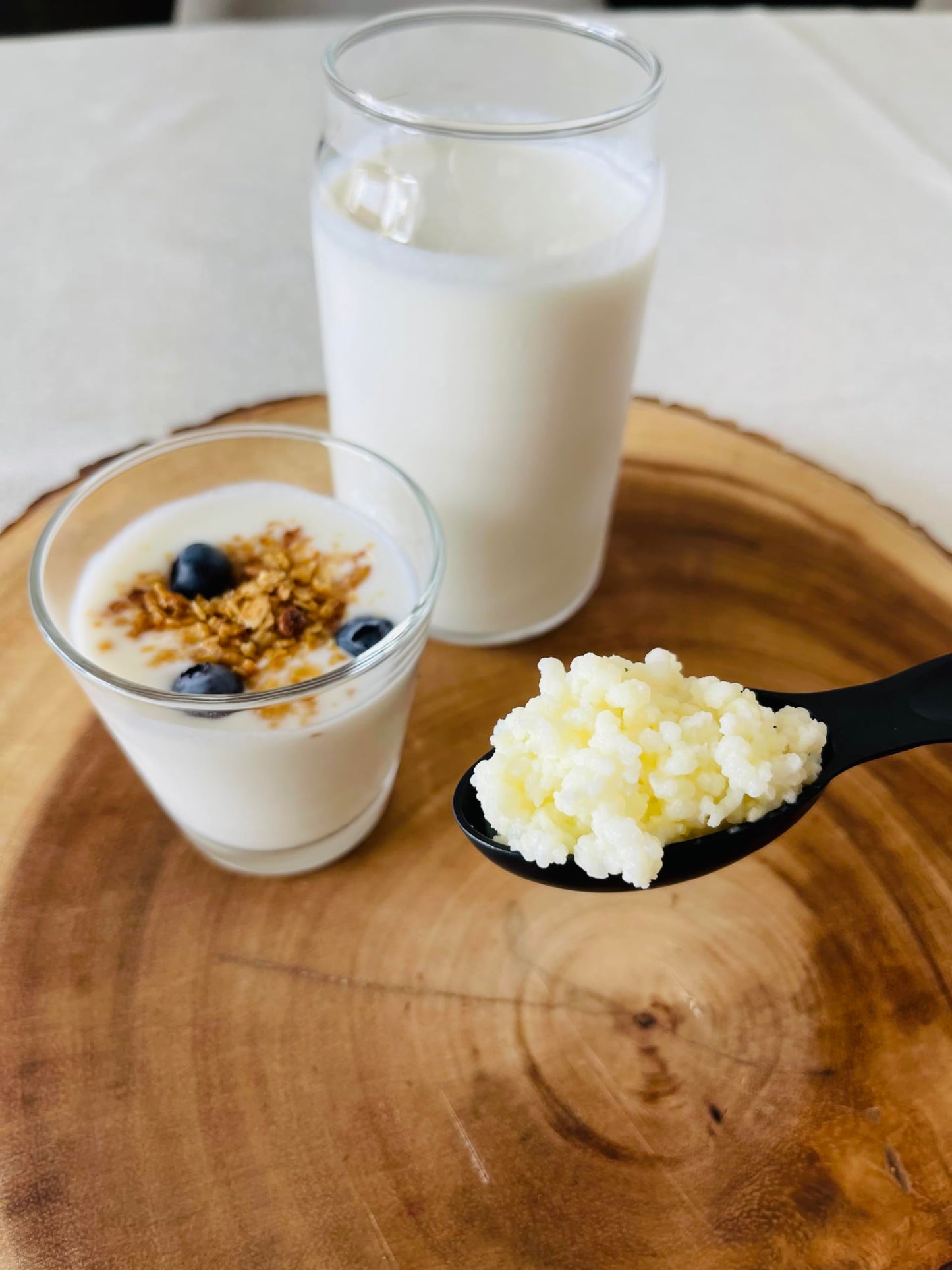 NatuDelight Kefit - Live Milk Kefir Grains, 1 TBSP Starter Culture for Home Production