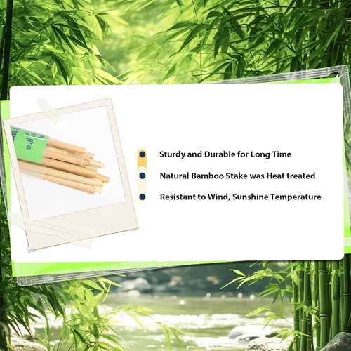 Bamboo Garden Stakes - 30pcs 4FT Multi-Purpose Plant Support for Tomatoes, Beans, and Flowers