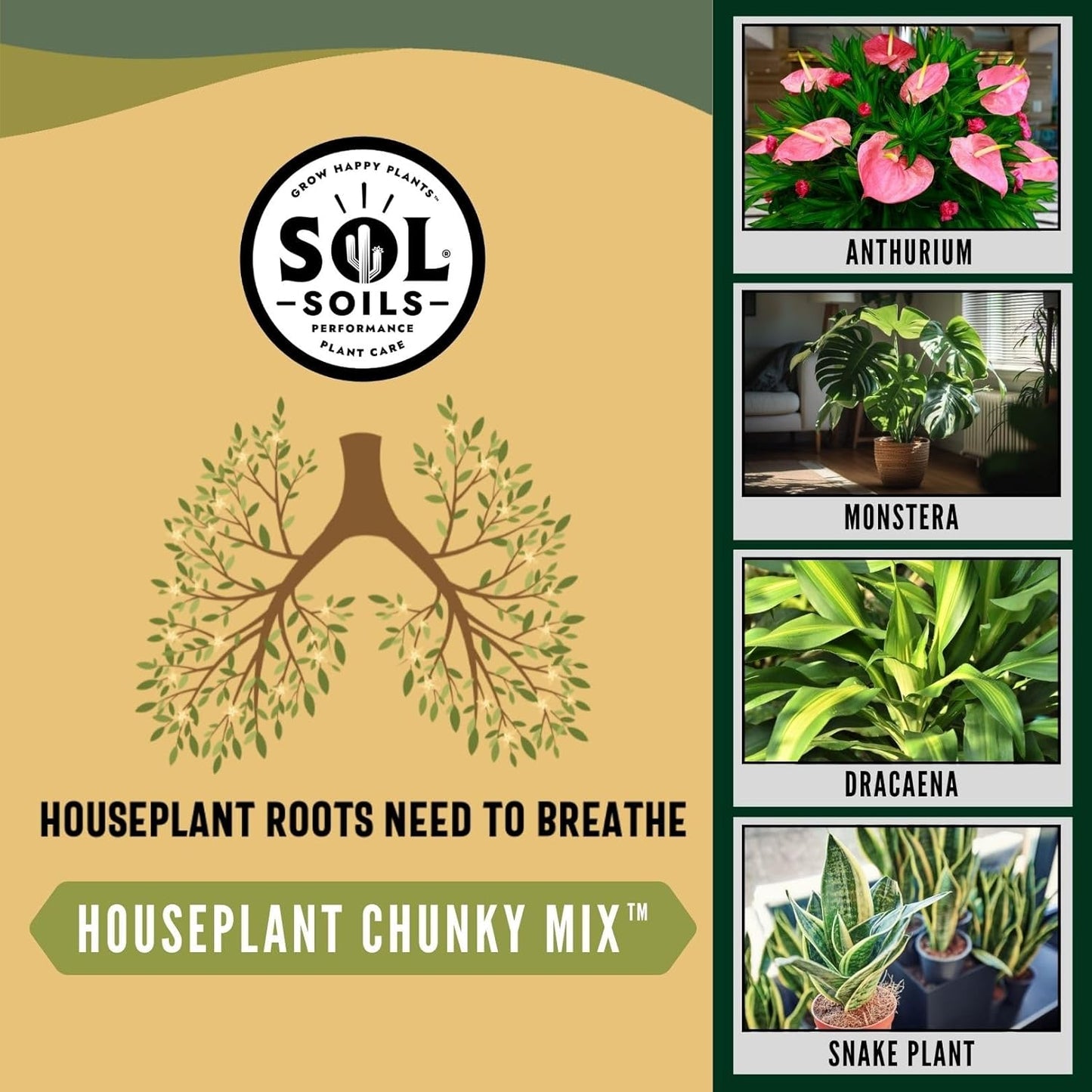 Sol Soils Chunky Houseplant Mix - Fast Draining Indoor Plant Soil with Coco Coir, Perlite & Pumice | 2 Quart