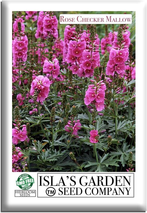 Isla's Garden Seeds Rose Checker Mallow Seeds - 25+ Heirloom Non-GMO Seeds for Hardy Perennial Blooms
