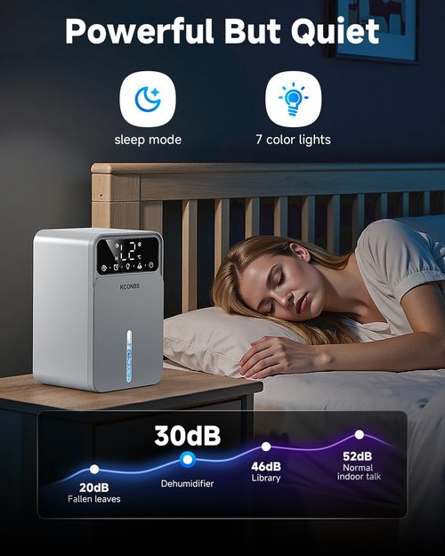 Dehumidifier - Regine Switzerland 60 OZ Capacity | Auto Shut-Off for Medium Rooms Up to 500 Sq.Ft, Quiet & Portable