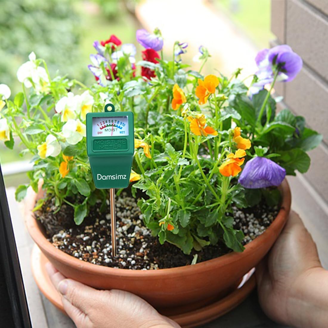 Skiennix Soil Moisture Meter - Accurate Plant Water Tester for Indoor & Outdoor Gardening | 2-Pack