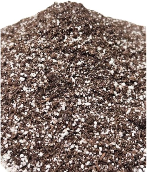 Black Gold Seedling Mix - Premium Organic Soil for Healthy Plant Growth | 8 Quart