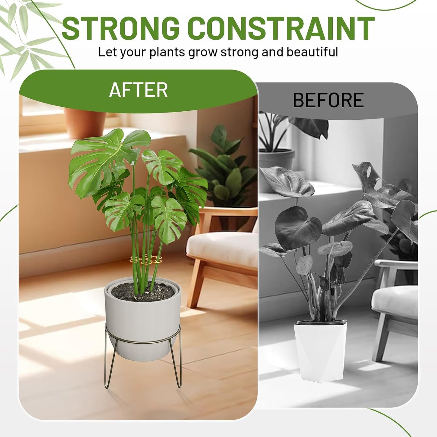 Monstera Plant Support Stakes - 4PCS Iron Design for Indoor Plants | Stable Growth & Turtle Shell Clamp