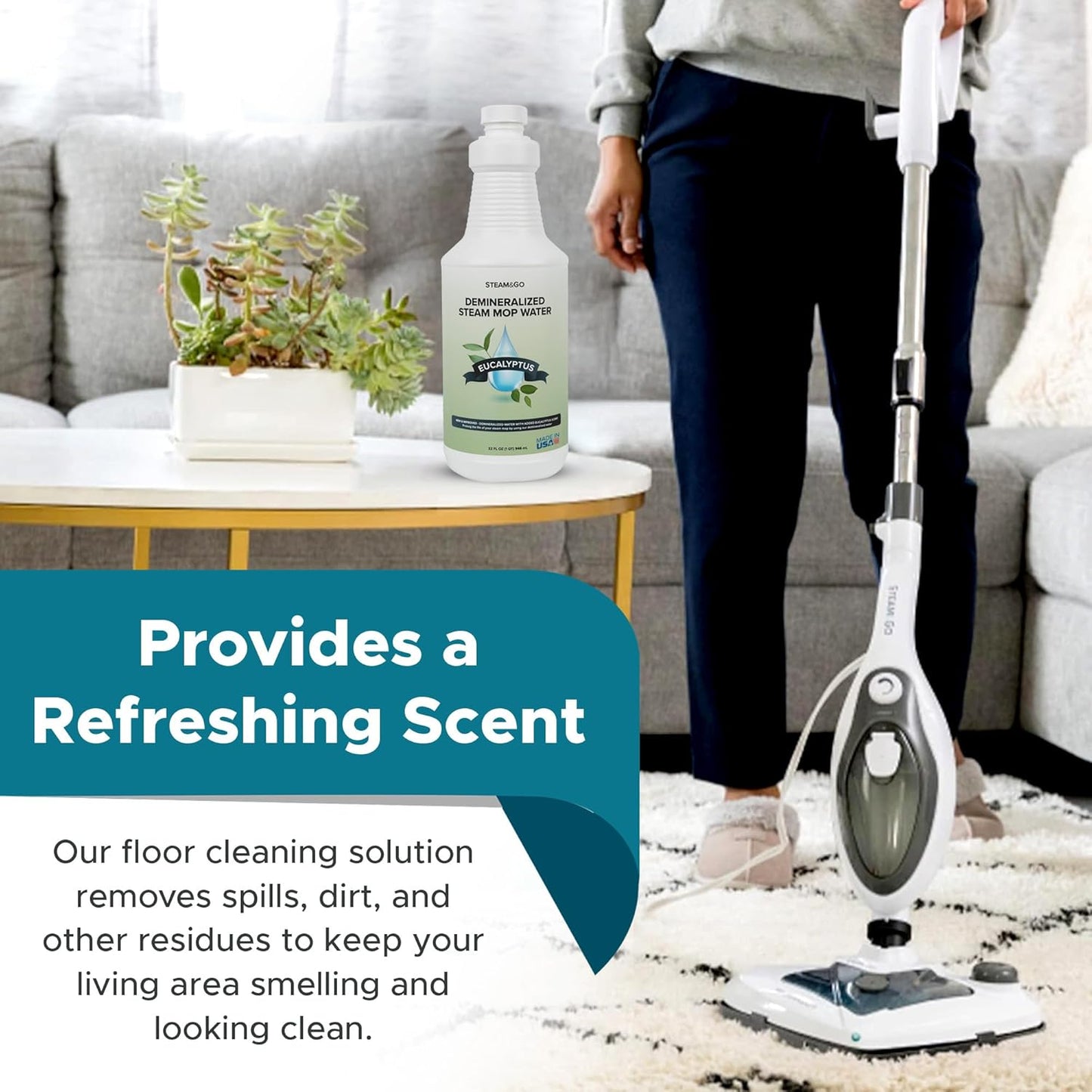 Steam & Go Demineralized Water | Ready-to-Use Eucalyptus Mint Steam Cleaner Solution, 32 oz