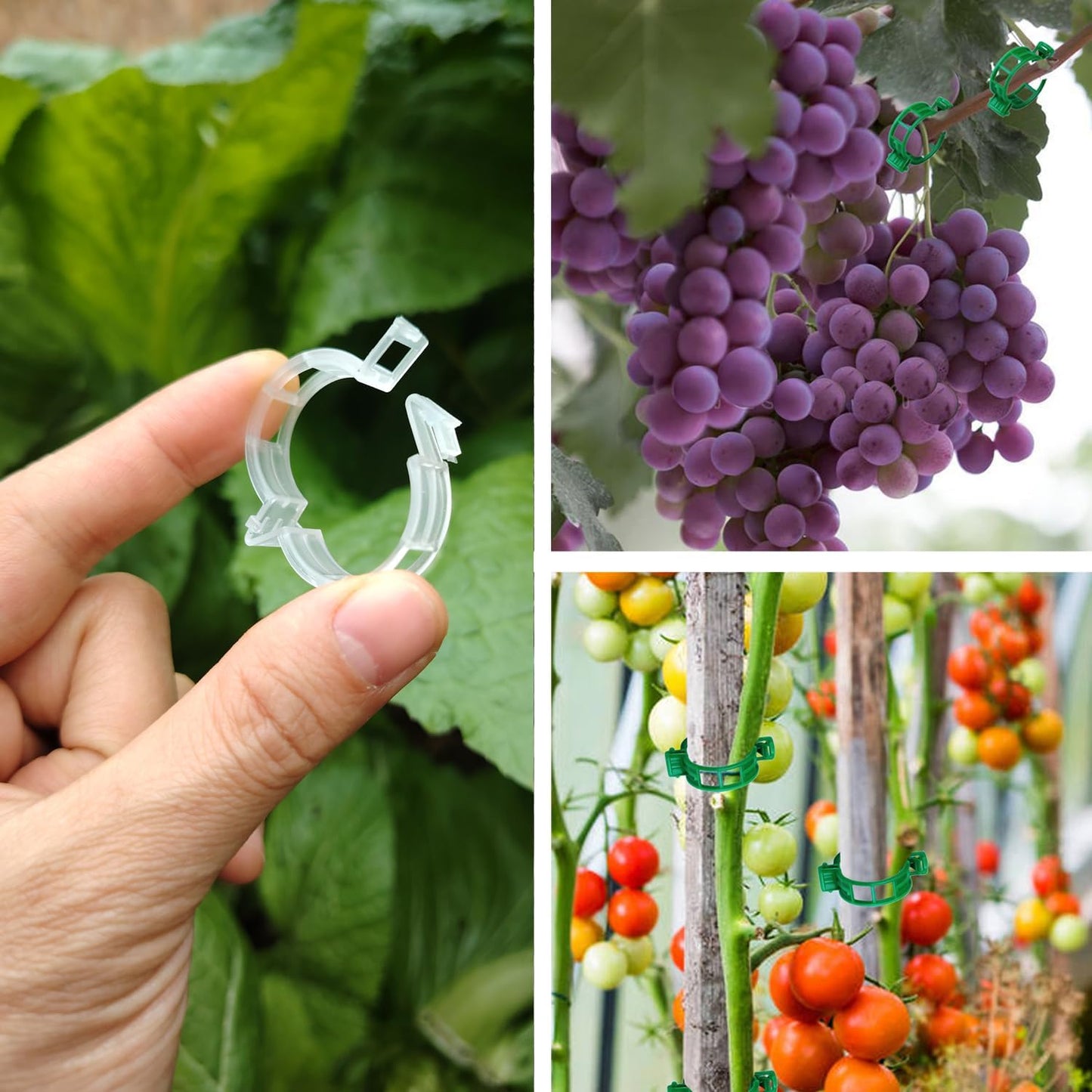 Skiennix Plant Support Clips - 150pcs Tomato & Grape Vine Clips for Garden Trellis | Durable Plastic for Secure Planting