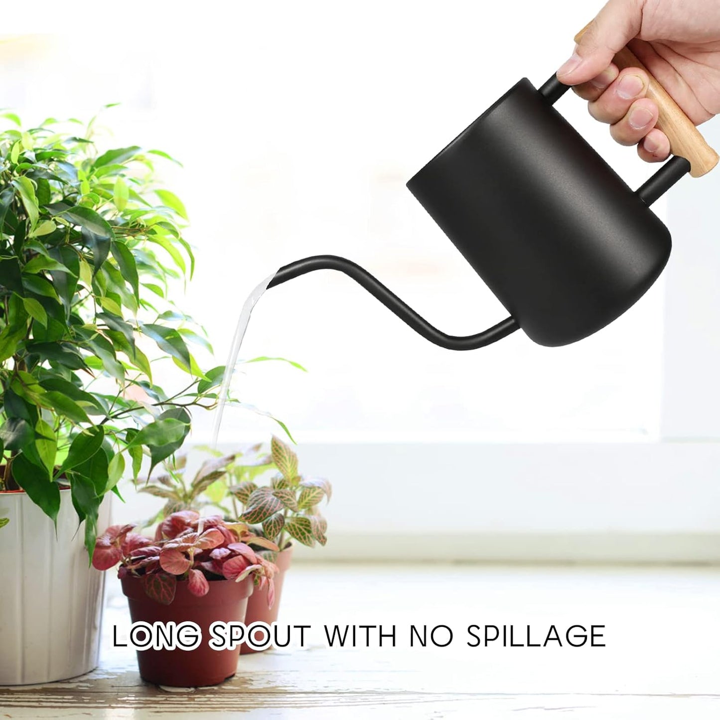 Skiennix Watering Can - 35 Oz Stainless Steel Pot with Long Spout for Indoor & Outdoor Plants | Black