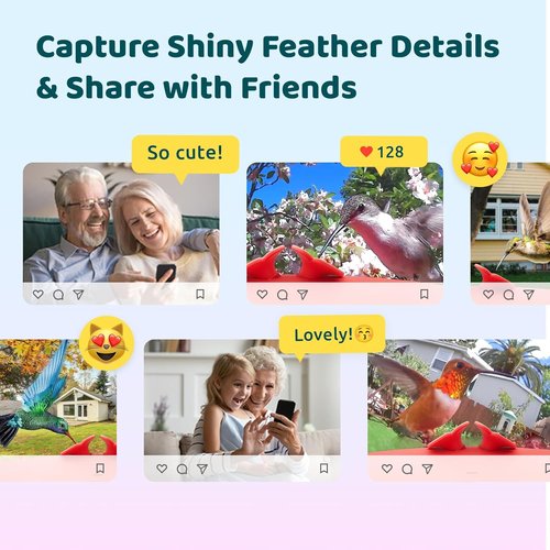 Birdfy Smart Hummingbird Feeder - Solar Powered With Camera, Live View & Auto Record, 14oz, Perfect Gift for Bird Lovers