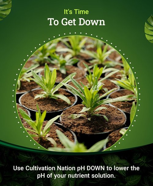 FoxFarm pH Down for Plants - Citric Acid Formula for Nutrient Solutions - Lowers pH Levels - 1 Pint