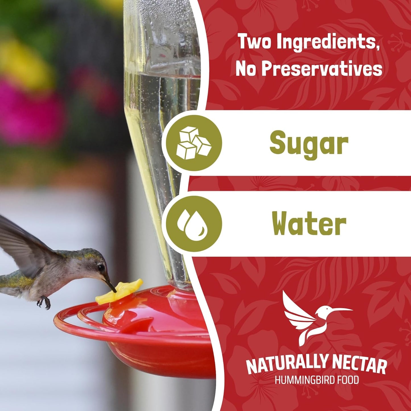 Pure Hummingbird Nectar - Natural Sugar Water in Convenient Cans | No Artificial Dyes - 16 fl oz