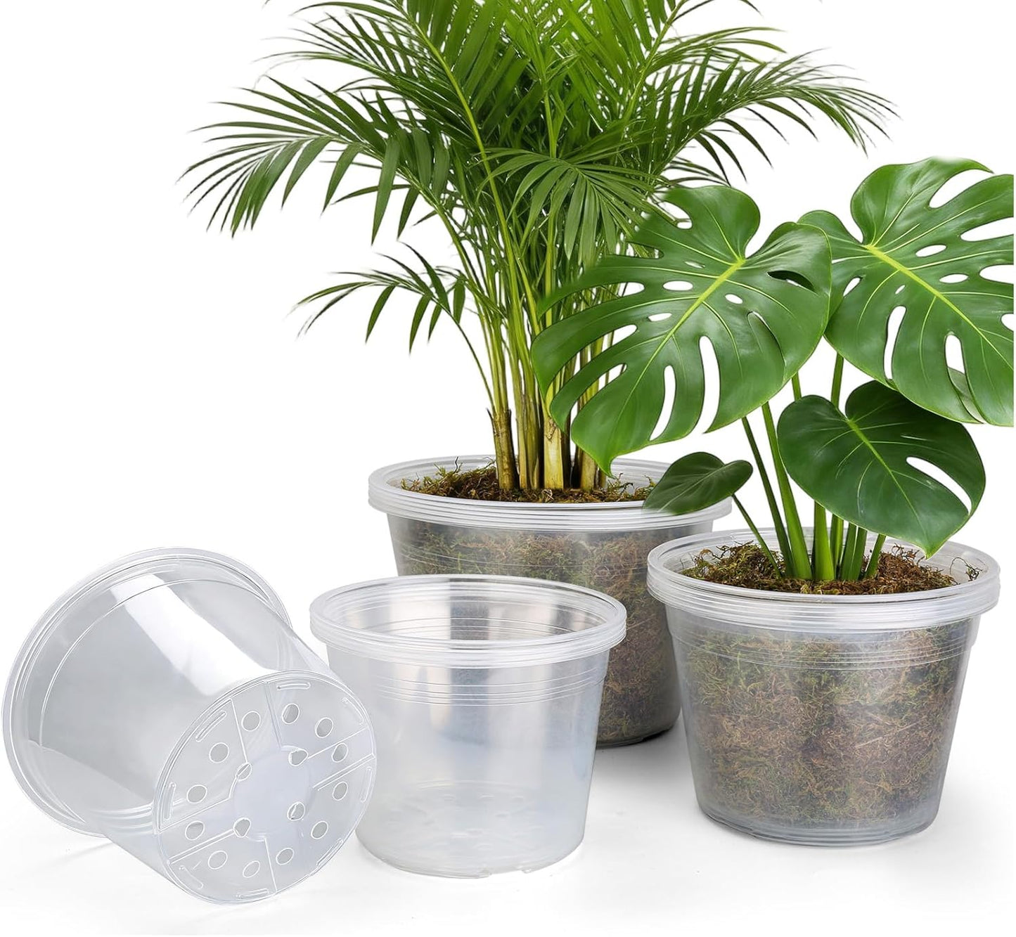 Skiennix Large Clear Nursery Pots - 15 Pack with Drainage Holes for Indoor/Outdoor Gardening | 8, 10, 12 Inch