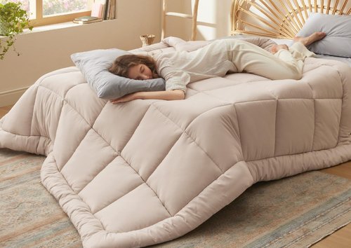 Bedsure Comforter Duvet Insert - All-Season Quilted Queen Size Bedding Blanket, GentleSoft Down Alternative, Beige 88 x 88 Inches