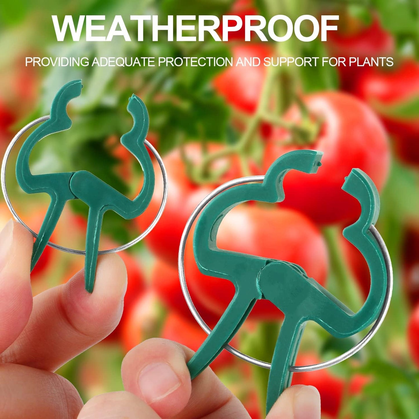 Yinghezu Plant Support Clips - 40 Pcs for Garden Tomatoes & Vines | 2 Sizes for Upright Growth