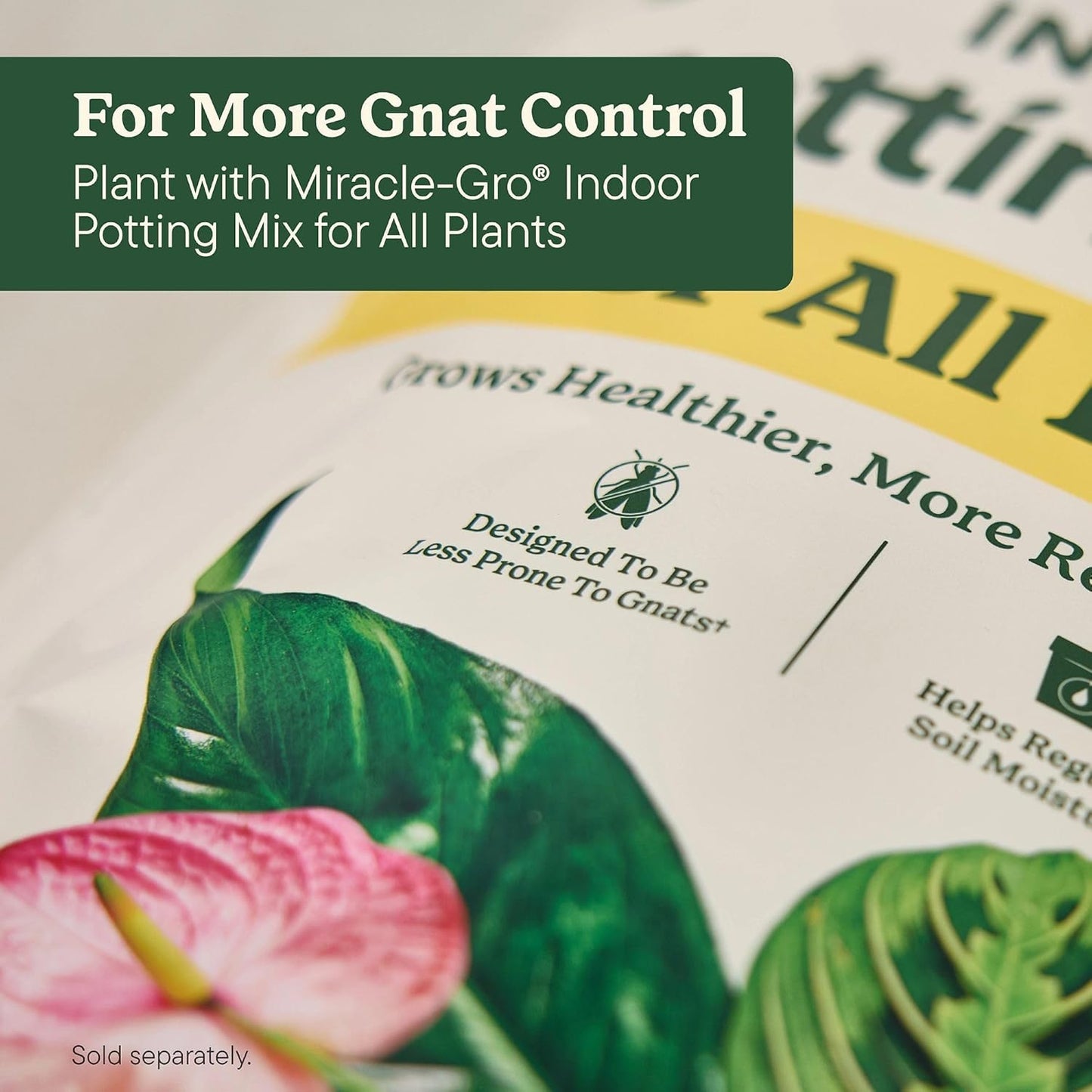Miracle-Gro Leaf Protect & Shine Spray - 4-in-1 Insecticide, Miticide, Fungicide | 8 fl. oz., 2-Pack