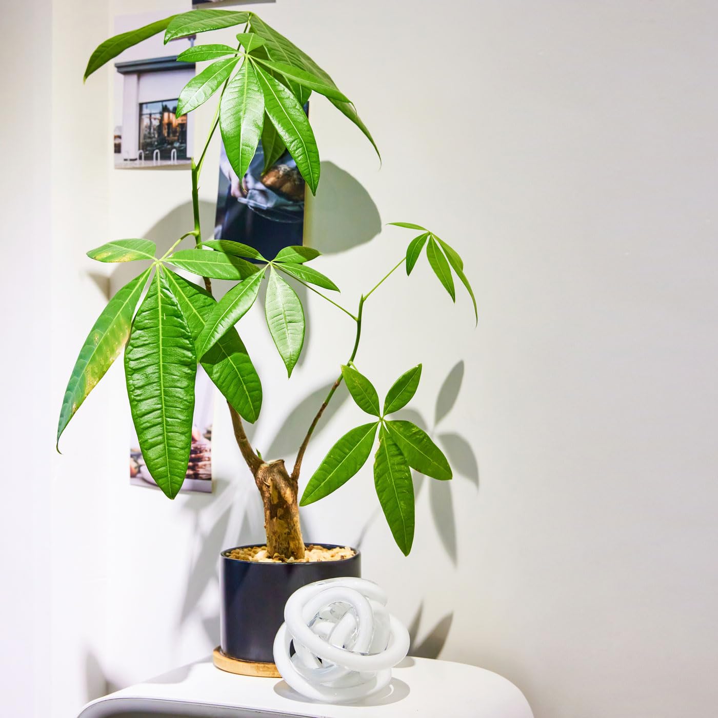 Luxury Lane Hand Blown Infinity Knot Sommerso Art Orbit Glass Ball for Home Decor 8 inch Tall Centerpiece Table Decoration White